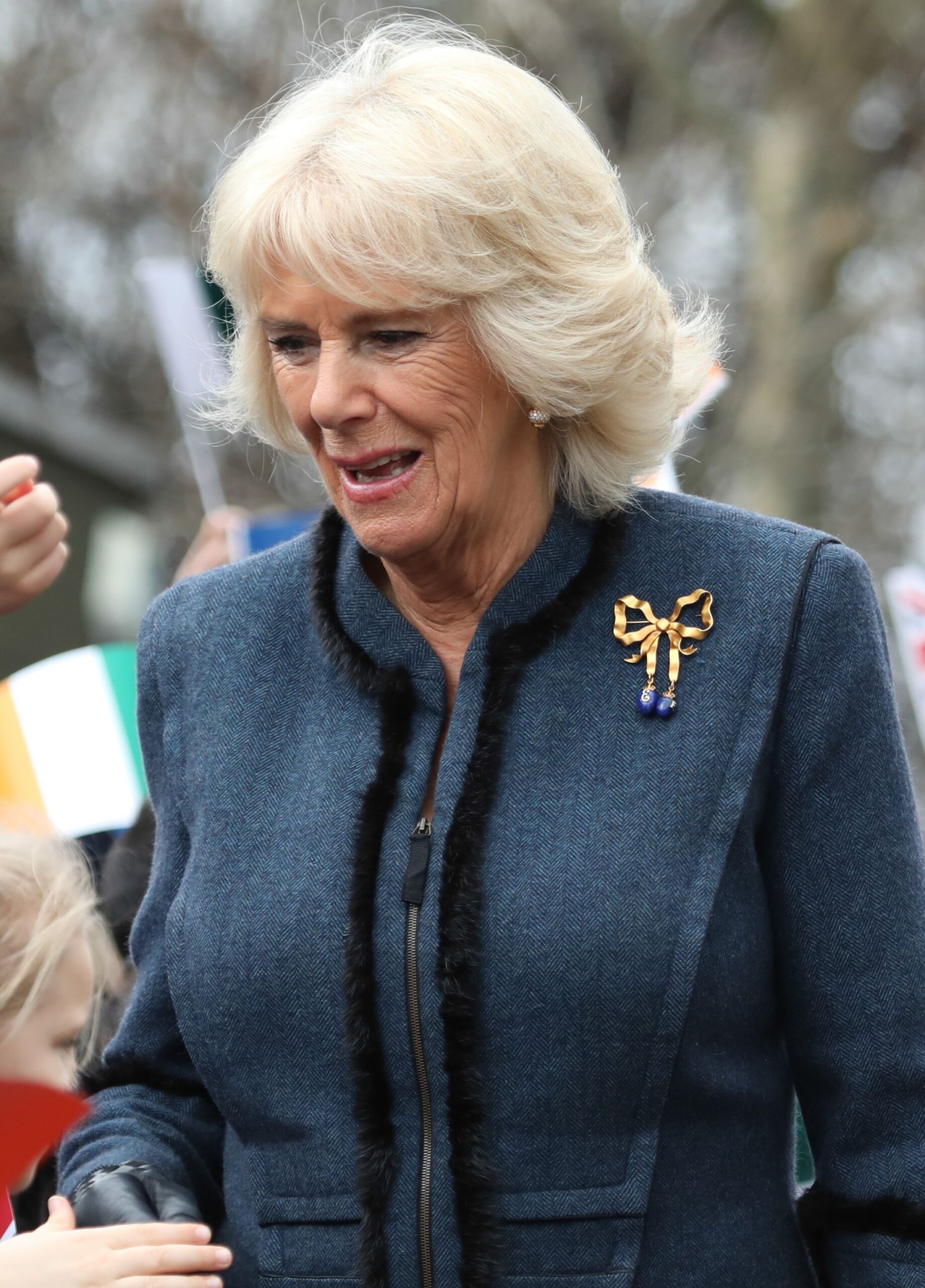Royal Rescue: Queen Camilla & King Charles Welcome Adorable New Pup!
