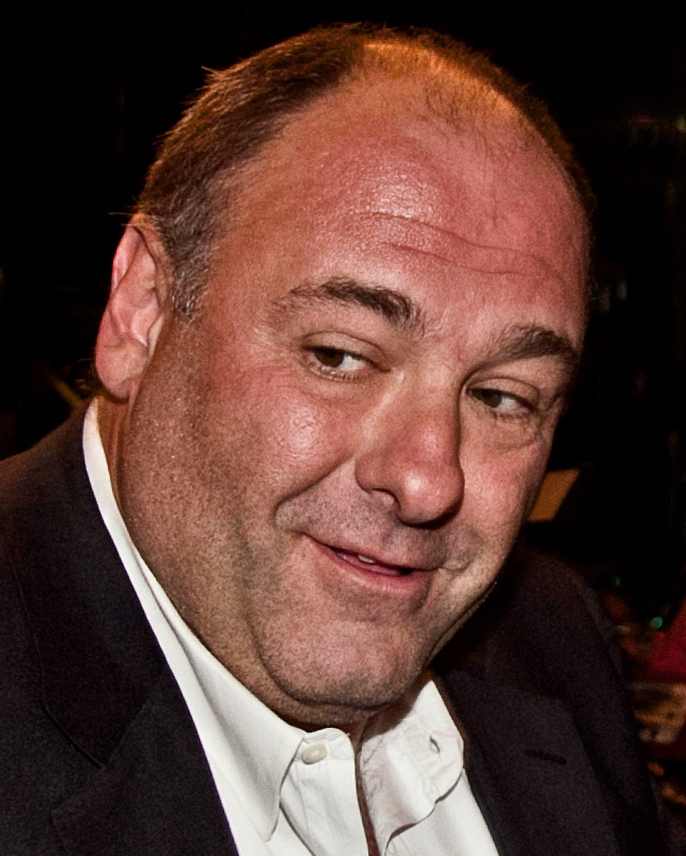 Michael Gandolfini Ruminates on a Tony Soprano Prequel: “I Think It’s Closed”