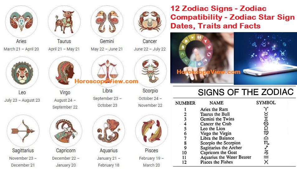 Find Your Full House Twin: Discover Which Character Matches Your Zodiac Sign!