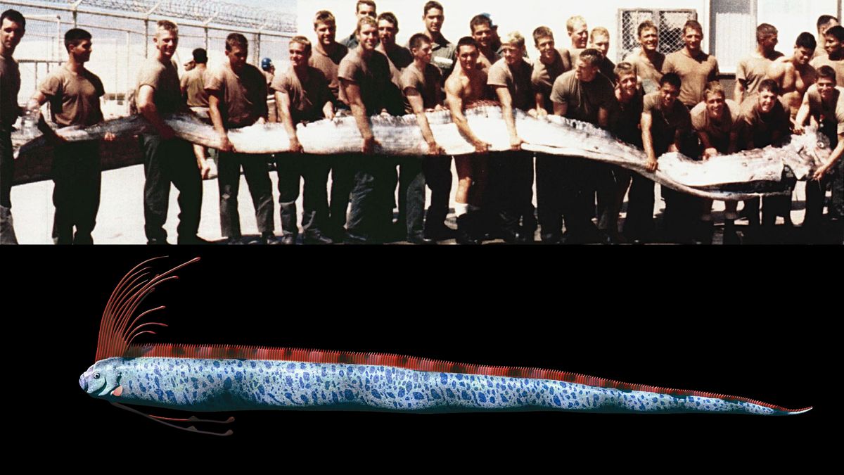 “Doomsday Fish” Spotted Near Mexico Beach: What It Means!