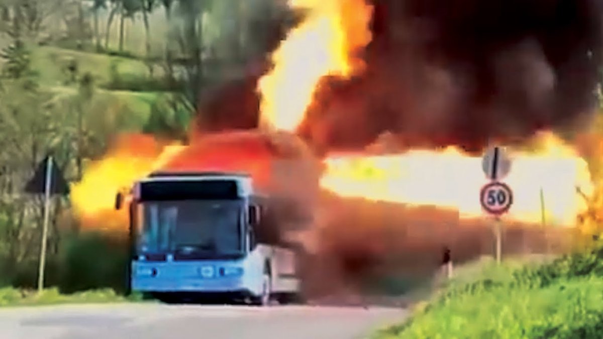 Ohio School Bus Driver Saves 15 Students from Fiery Disaster