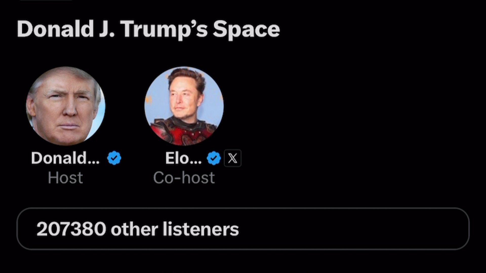 Trump’s Cozy Chat with Musk: Softballs and a Lot of Hot Air