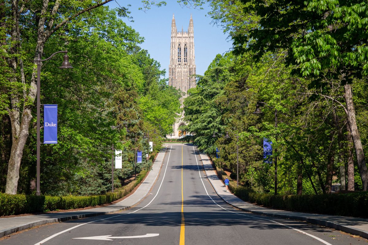 Duke’s Malibu Faces Devastating Layoffs Amid Mudslide Chaos