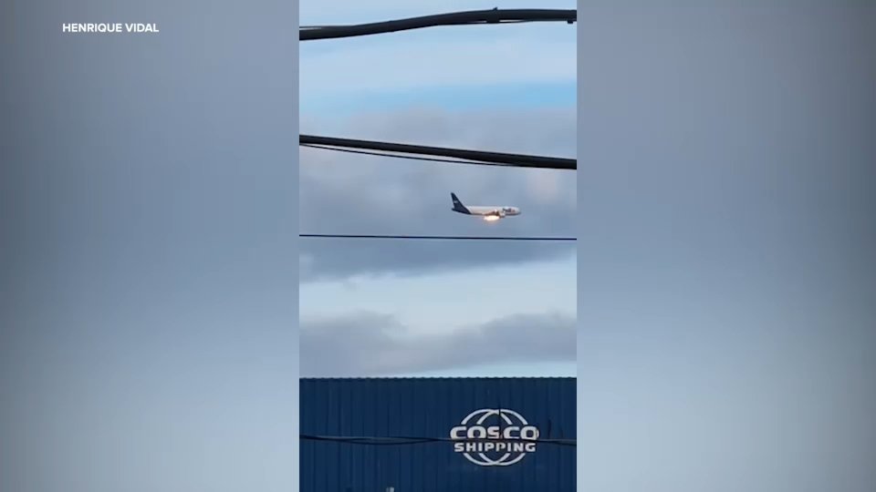 FedEx Flight Sparks Frenzy After Mid-Air Fire from Bird Strike