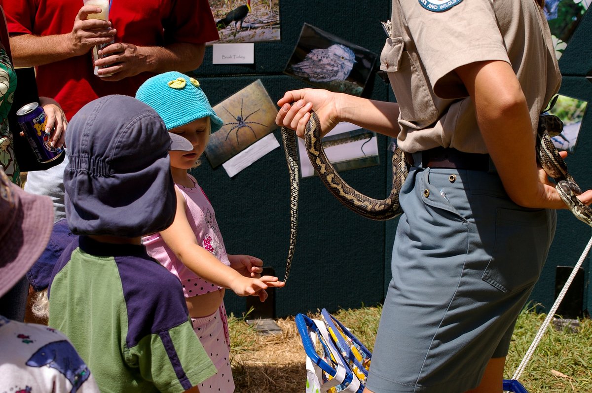 Mechanic Shop Surprise: Python Caught Mid-Meal in Australia