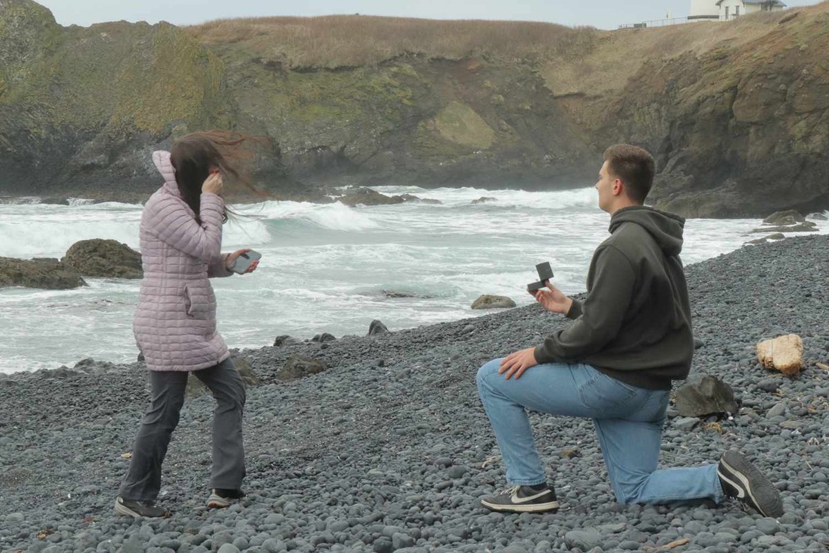 Seagull Steals the Show: Woman’s Engagement Goes Viral for All the Right Reasons