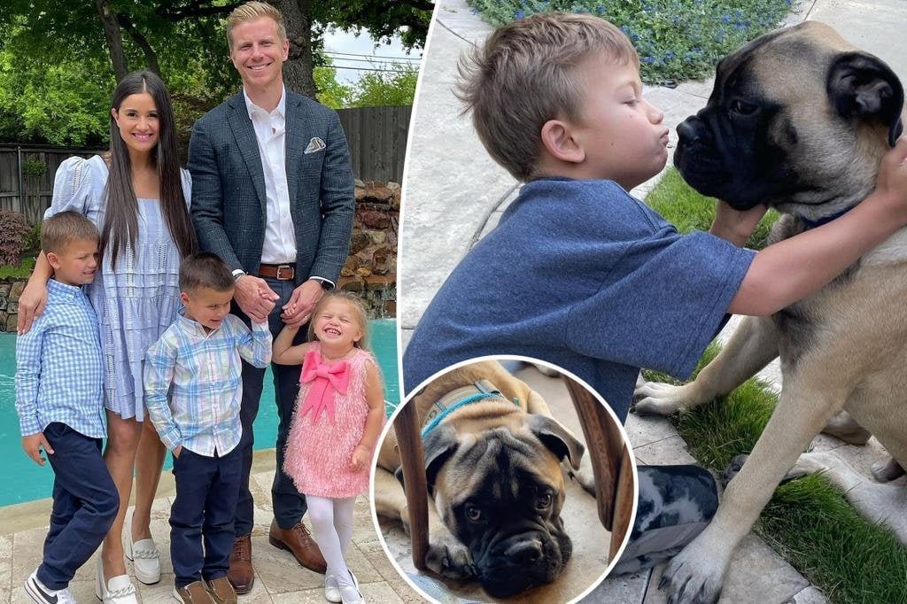 Sean Lowe’s Shocking Dog Attack: From BBQ to Bloodshed
