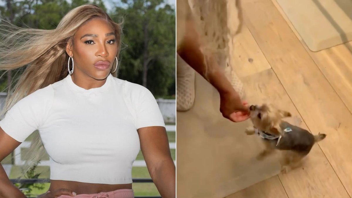 Serena Williams Whips Up Gumbo and Family Time with Daughter Olympia