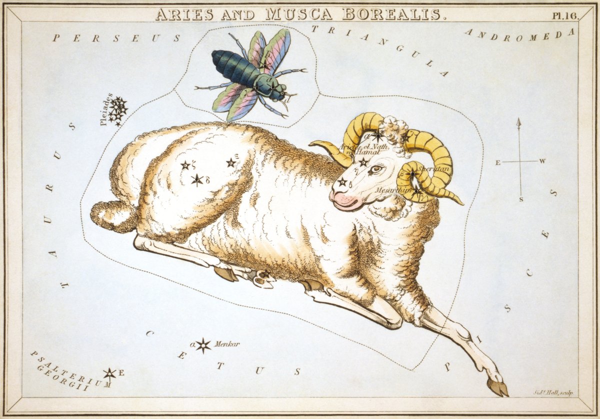 Spring Equinox: How Four Zodiac Signs Will Thrive This Season