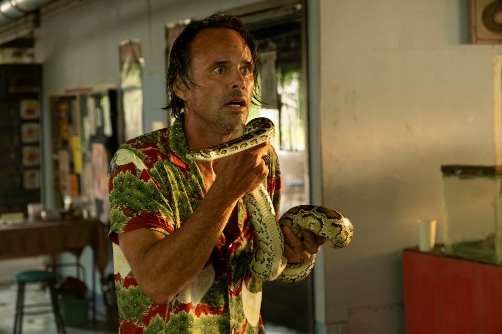 Walton Goggins’ Gripping Journey in The White Lotus: What You Didn’t Know About His Epic Scene