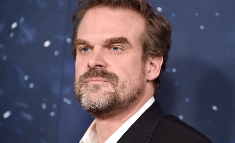 David Harbour Breaks Silence on Lily Allen Split Amid Cheating Scandal
