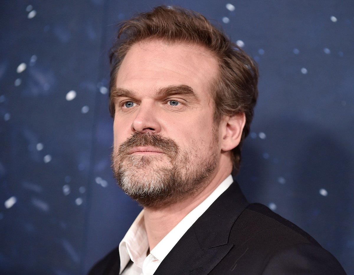 David Harbour Breaks Silence on Lily Allen Split Amid Cheating Scandal