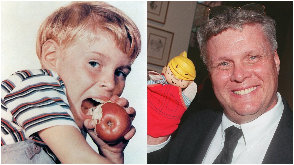 Fans Remember Jay North: The Untold Struggles of Dennis the Menace Star
