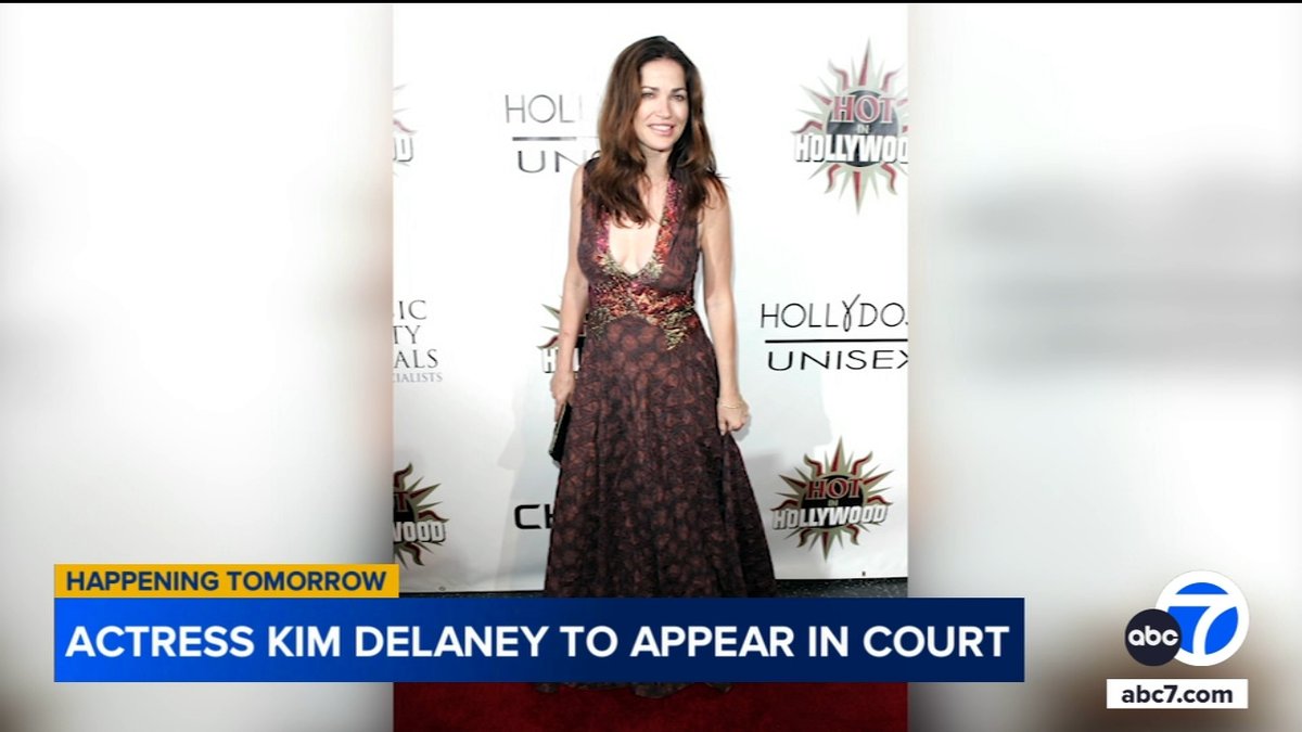Kim Delaney Avoids Felony Charges After Shocking Domestic Incident
