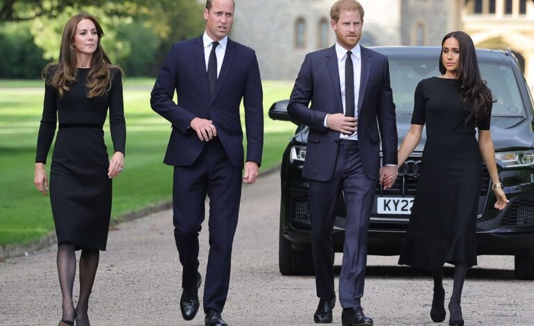 New Leadership at Prince William’s Organization: A Game-Changer After Markle’s Statements