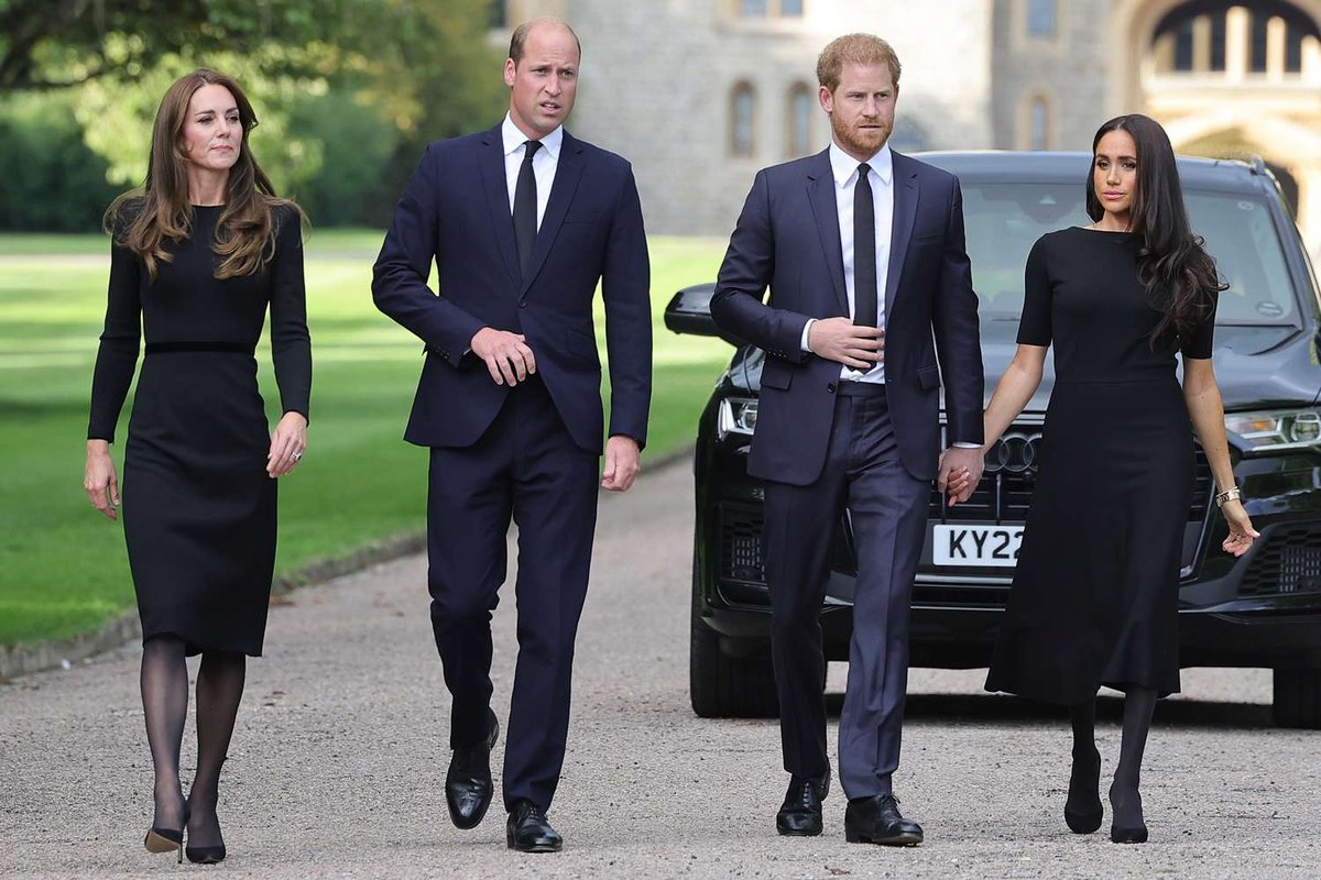 Prince William’s Bold Move: Stripping Harry and Meghan of Their Titles