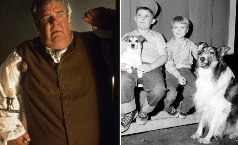 Remembering Joey D. Vieira: The Heart Behind ‘Lassie’ Who Captivated Generations