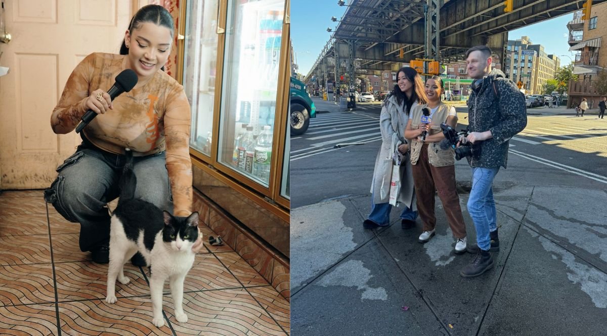 TikTok’s Purr-fect Sensation: Meet NYC’s Bodega Cats