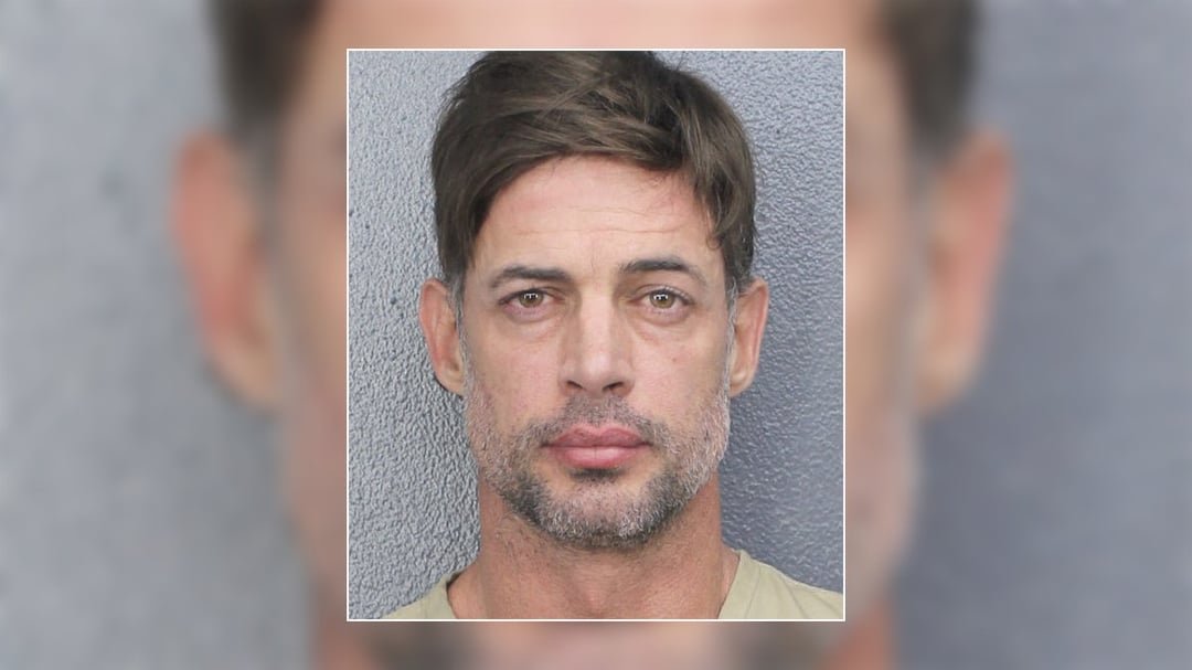 William Levy’s Disorderly Conduct: What Happened in Florida?