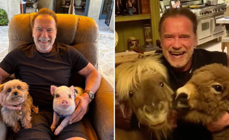 Arnold Schwarzenegger’s Wild Pet Obsession Revealed by Patrick
