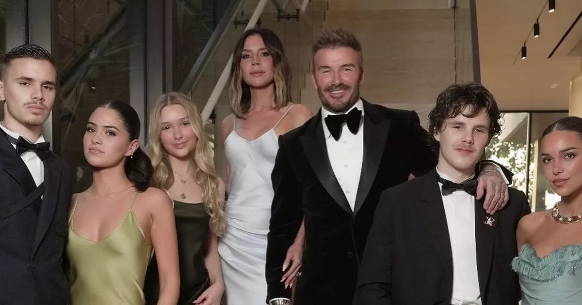 Beckham Brothers Sling Shade at Nicola Peltz in Instagram Feud