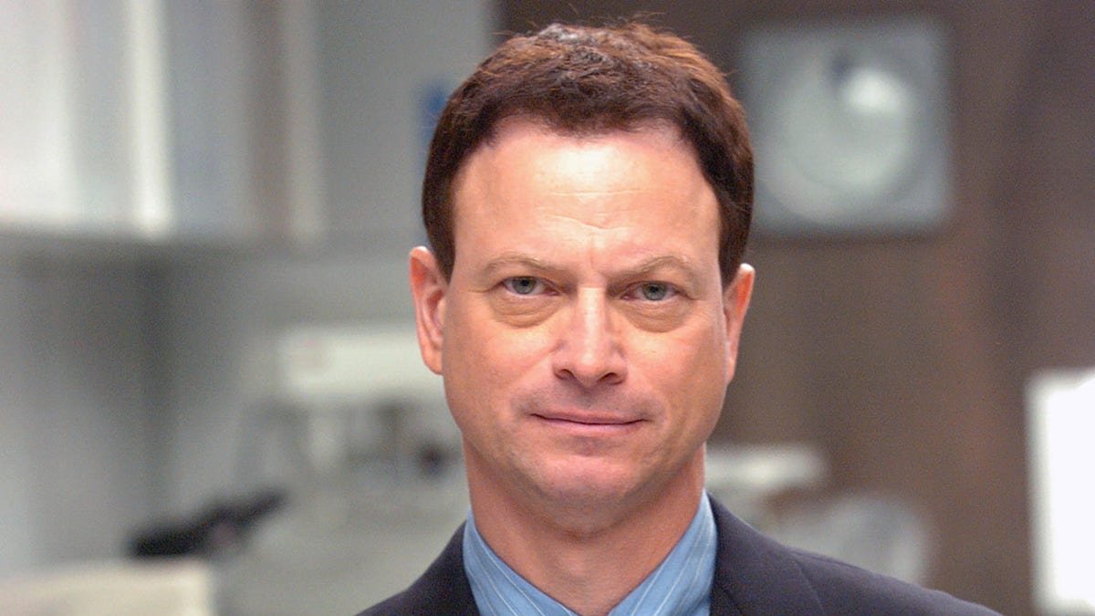 Gary Sinise Teases Hollywood Return—Only If This Happens
