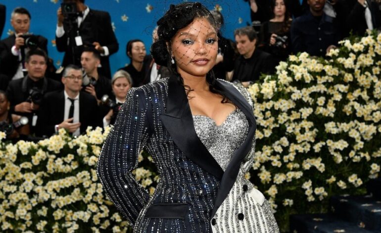 Halle Bailey Seeks Court Shield to Protect Her Unborn Baby