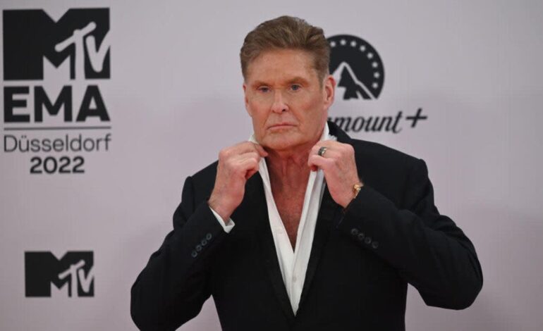 Hasselhoff Wheels Through Grief: Airport Wheelchair Sighting Raises Alarms