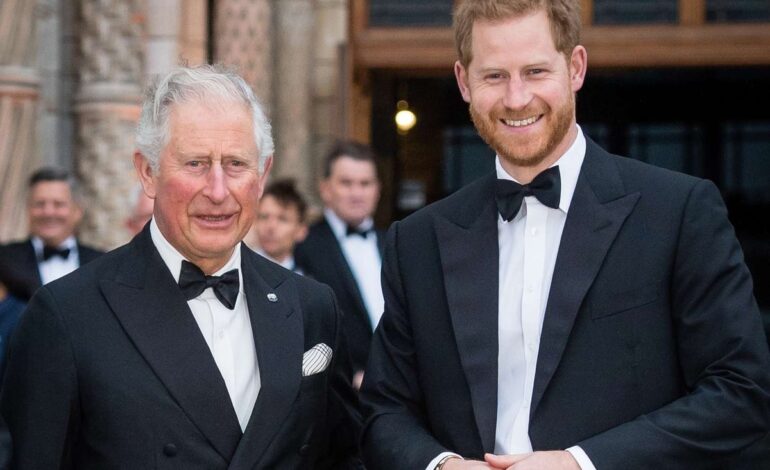 King Charles’ Security Standoff with Prince Harry: A Royal Frustration Revealed