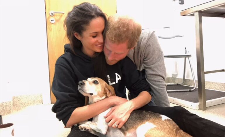 Meghan Markle’s Adorable ‘Mama Mountain’ Moment This Mother’s Day
