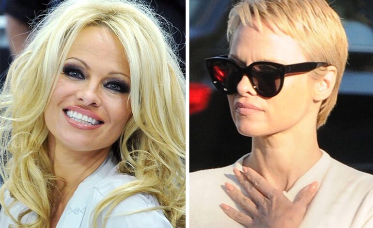 Pamela Anderson’s Met Gala Bob Steals the Spotlight