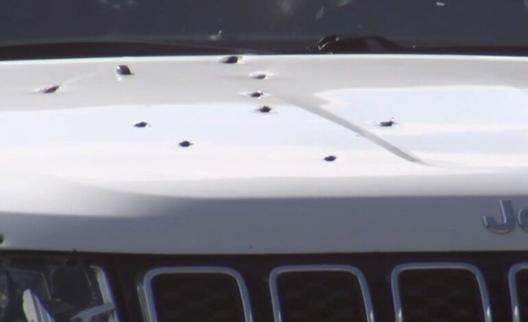 Pennsylvania Woman Arrested for Pooping on Car Hood Claims ‘It Was a Clean Poop
