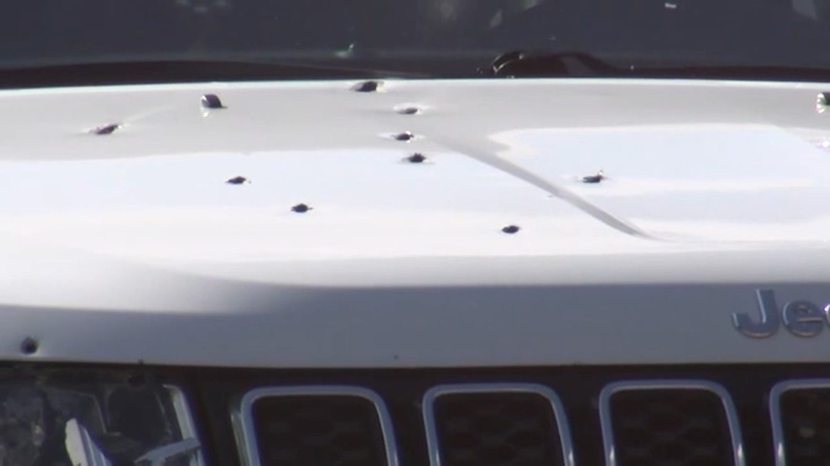 Pennsylvania Woman Arrested for Pooping on Car Hood Claims ‘It Was a Clean Poop
