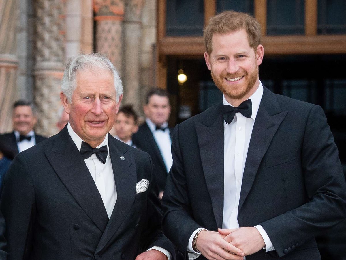 Prince Harry Claims King Charles Shuns Him Despite His Reconciliation Hopes