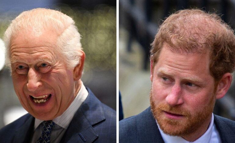 Prince Harry’s Security Appeal Falls Flat: No Public Funds for You!