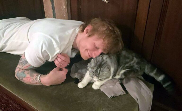 Taylor Swift’s Cat Meredith Steals Spotlight After Master Rights Victory