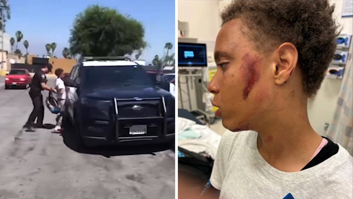 Chaos Erupts: Protester’s Daring Throw Meets Unlikely Foe in L.A.