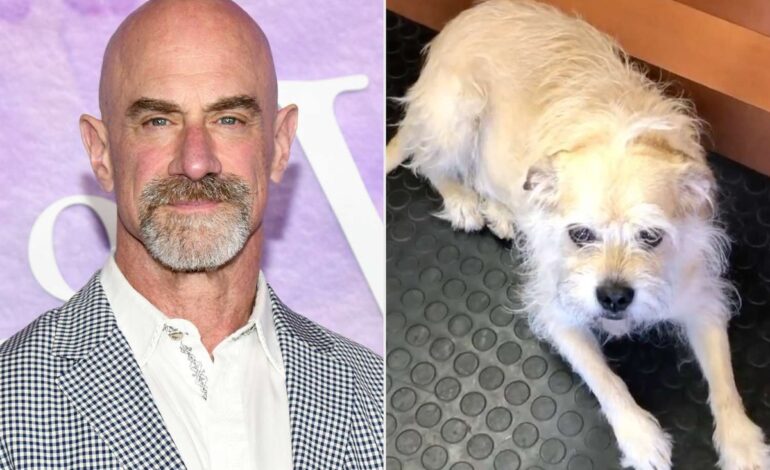 Christopher Meloni’s Heartfelt Farewell to Rescue Dog Scotty After Cancer Battle