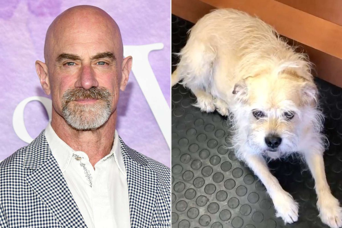 Christopher Meloni’s Heartfelt Farewell to Rescue Dog Scotty After Cancer Battle