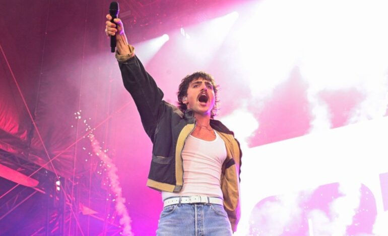 Gov Ball 2025: A Deadpan Comedian’s Hilarious Recap of Every Act