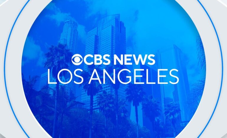 Viral ICE Protest Body-Slam Sparks LA Arrests