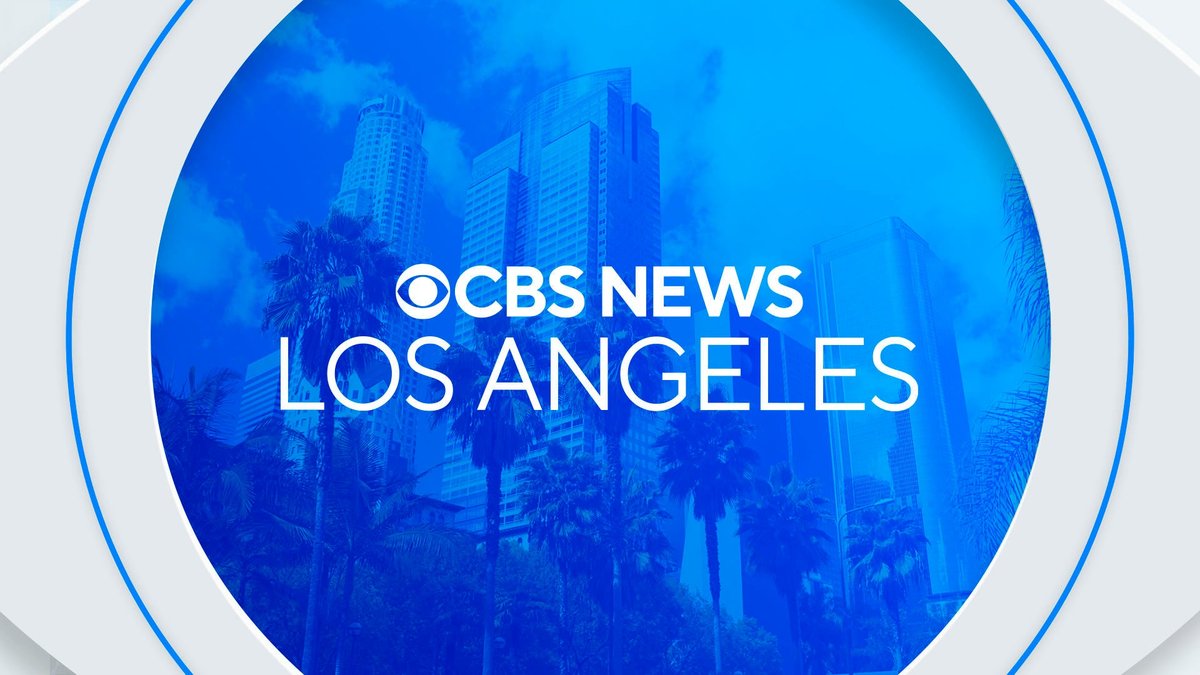 Viral ICE Protest Body-Slam Sparks LA Arrests