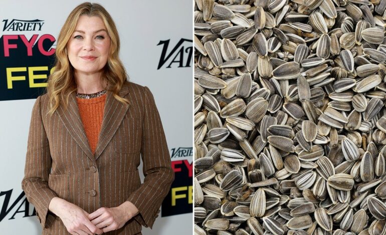 Why TSA Paused Ellen Pompeo’s Gourmet Sunflower Seeds—Carry-On Food Rules Explained