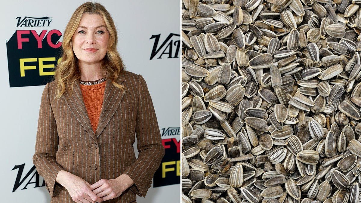Why TSA Paused Ellen Pompeo’s Gourmet Sunflower Seeds—Carry-On Food Rules Explained
