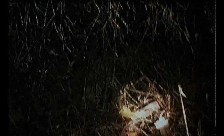 Blair Witch Project’s Hidden Genius: Birth of Found-Footage Horror