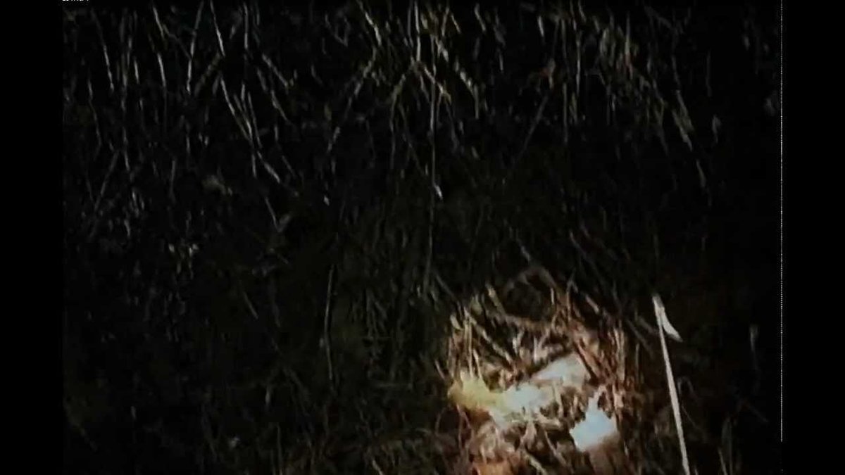 Blair Witch Project’s Hidden Genius: Birth of Found-Footage Horror
