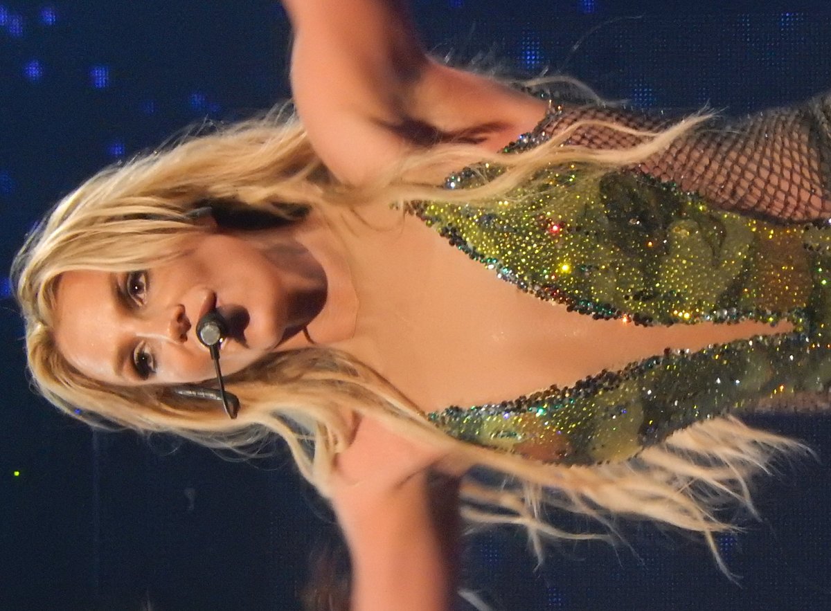 Britney Spears’ ‘Adoption’ Announcement Dissected: No Baby or Puppy Added to the Family