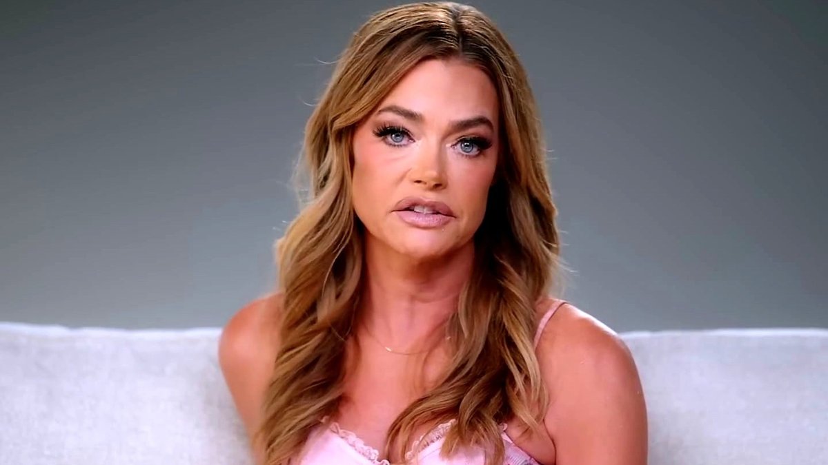 Denise Richards Accuses Estranged Spouse of Laptop Heist and Order Breach