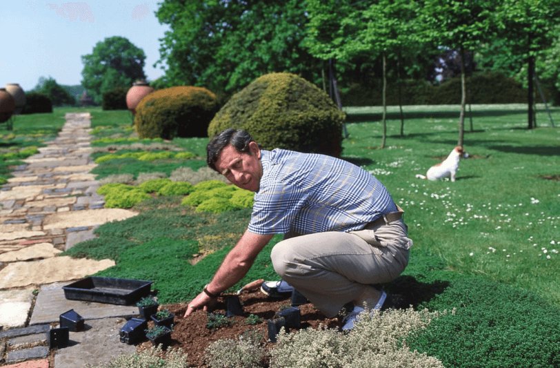 Highgrove Honeysuckle Havoc: Eleven Gardeners Quit Over “Excessive” Demands