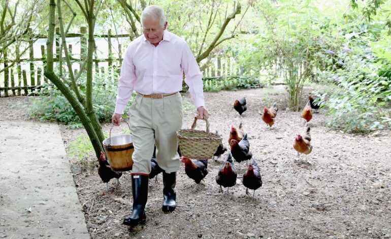 Highgrove Uproar: 11 Gardeners Quit Over Low Pay